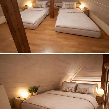 Charming Attic Duplex In