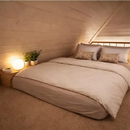 Charming Attic Duplex In * Bern