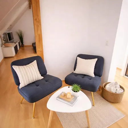 Charming Attic Duplex In Berna